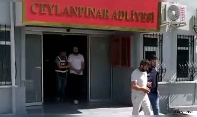 CEYLANPINAR'DA ZEHİR TÜCARLARINA BÜYÜK DARBE