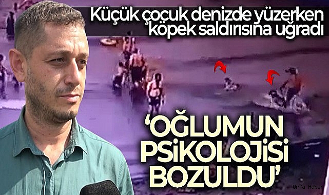 Denizde köpek tarafından ısırılan çocuğun babası: 'Oğlumun psikolojisi bozuldu'