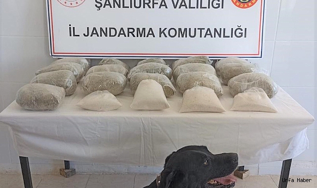 Şanlıurfa'da 20 kilogram uyuşturucu ele geçirildi: 2 gözaltı