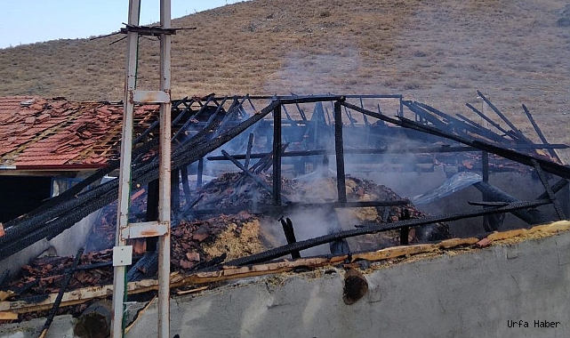 20 ton saman kül oldu