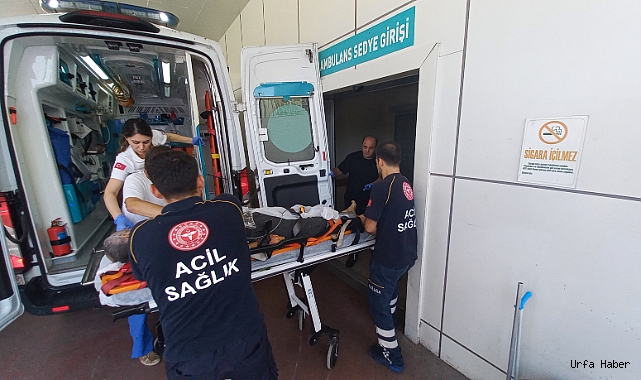 Ağaçtan düştü, kalbine dal parçası saplandı