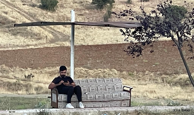 Anayolun kenarındaki kanepeli durağı görenler şaşırıyor