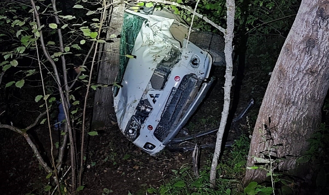 Artvin'de trafik kazası: 1 ölü, 2 yaralı