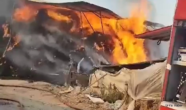 Çiftlikte bulunan yem dolu depo alev alev yandı
