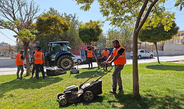 Eyyübiye parklarında sonbahar çalışması