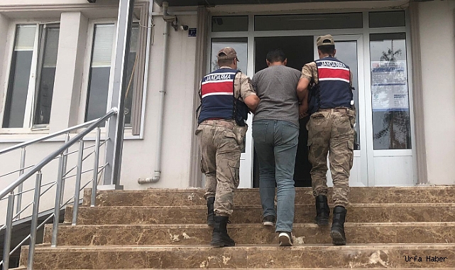 İstanbul'da FETÖ operasyonu: 8 şüpheli yakalandı