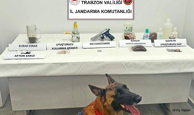 Jandarma narkotik köpeği ‘Limon’ ilk operasyonunda tespit etti