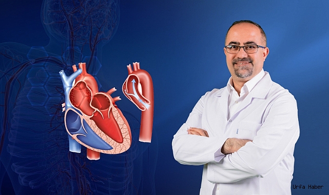 Kanda yüksek yağ oranı aort yırtılmasına neden oluyor