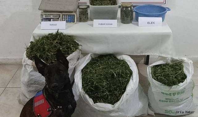 Kırklareli'nde bir evden 22 kilo esrar çıktı