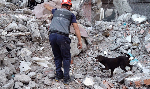Kurtarma köpeği Ateş'e site enkazında eğitim