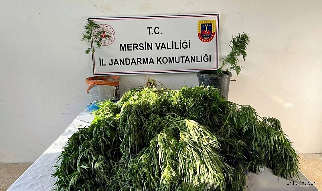 Mersin'de uyuşturucu satıcılarına operasyon: 3 gözaltı