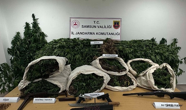 Samsun'da jandarma 33 kilo kubar esrar ele geçirdi: 2 gözaltı