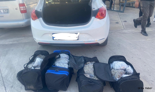 ŞANLIURFA'DA 34 KİLO SKUNK MADDESİ ELE GEÇİRİLDİ