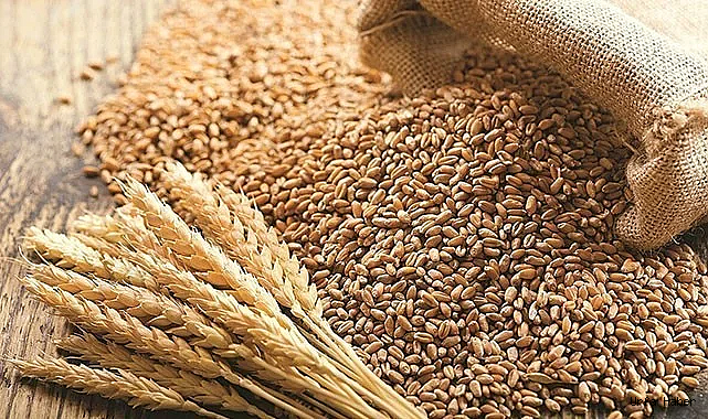 Şanlıurfa'da hububat fiyatları kaç liradan işlem gördü?
