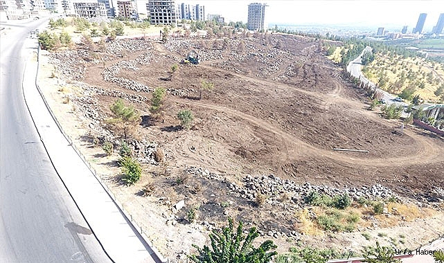 ŞANLIURFA'DA YANAN ALAN YENİDEN AĞAÇLANDIRILACAK