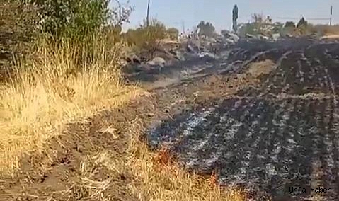 Trafodan çıkan kıvılcım otluk alanı tutuşturdu