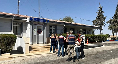URFA'DA KOYUN VE FISTIK HIRSIZLARI YAKALANDI