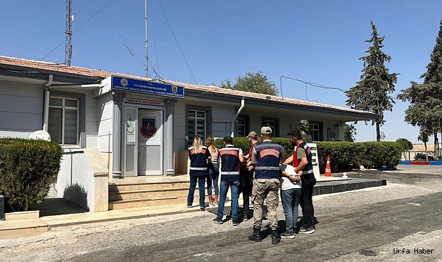 URFA'DA KOYUN VE FISTIK HIRSIZLARI YAKALANDI