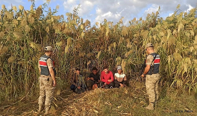 Kilis’te 4 düzensiz göçmen yakalandı