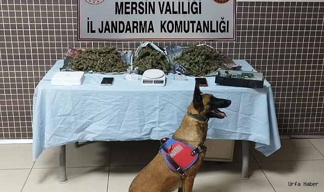 Mersin'de uyuşturucu operasyonu: 4 gözaltı