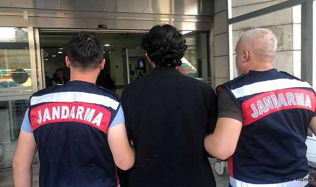 ŞANLIURFA'DA 3 TERÖR ÖRGÜTÜ UYESİ YAKALANDI!
