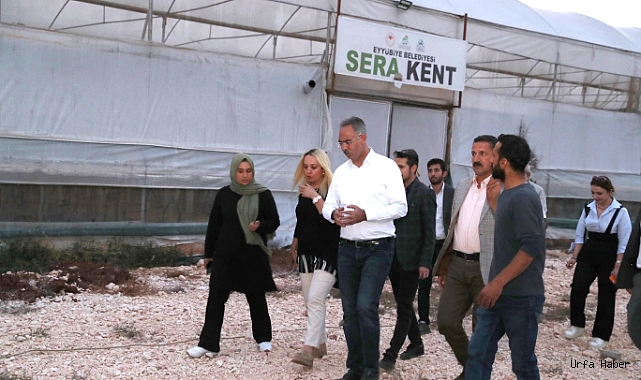 ŞANLIURFA'DA EJDER MEYVESİ YETİŞTİRİLİYOR