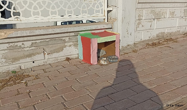 ŞANLIURFA'DA YÜREK ISITAN GÖRÜNTÜ!