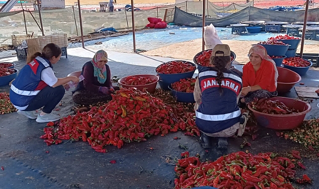 ŞANLIURFA İL JANDARMA KOMUTANLIĞI TARAFINDAN KADINLAR İÇİN EĞİTİM VERİLDİ