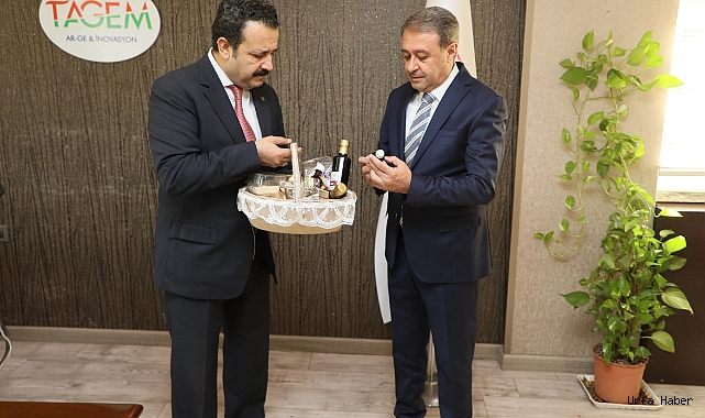 YERLİ TOHUM ALTIN DEĞERİNDE