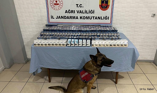 AĞRI'DA KAÇAK ELEKTRONİK VE PAKET SİGARA YAKALANDI