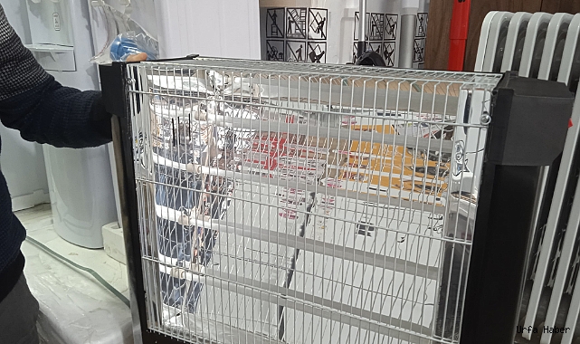 HAVALARIN SOĞUMASIYLA ELEKTRİKLİ ISITICILAR PİYASAYA ÇIKTI
