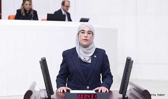 MİLLET VEKİLİ YAZMACI, ŞANLIURFA'YI MECLİSE TAŞIDI
