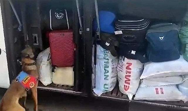 NARKOTİK KÖPEĞİ UYUŞTURUCU TİCARETİNE GEÇİT VERMEDİ