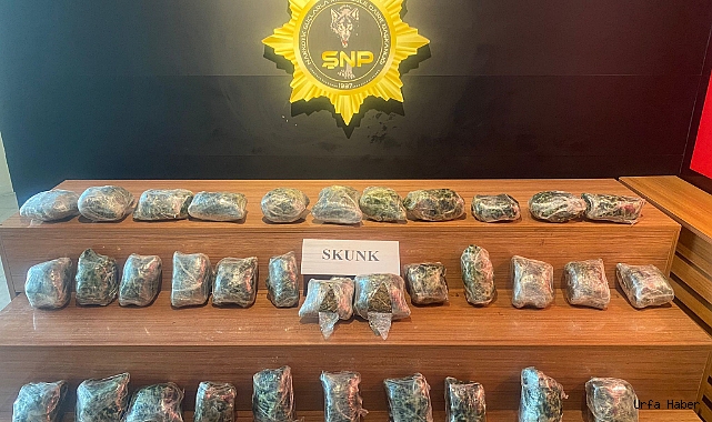 ŞANLIURFA’DA 21 KİLO SKUNK ELE GEÇİRİLDİ
