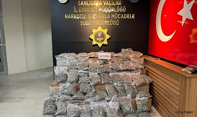 ŞANLIURFA'DA 46 KİLO 500 GRAM SKUNK ELE GEÇİRİLDİ