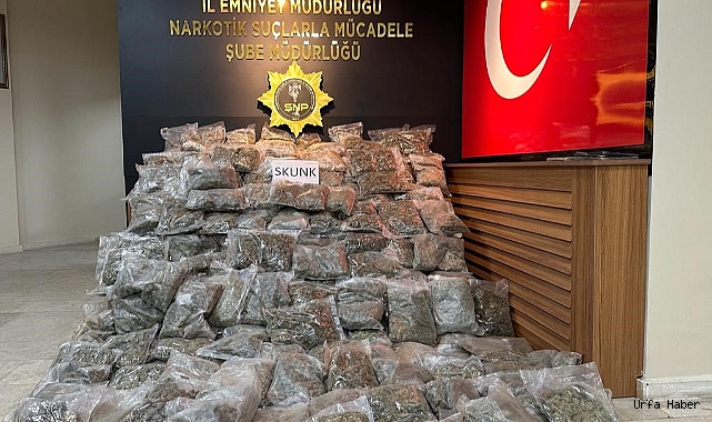 ŞANLIURFA'DA 90 KİLOGRAM SKUNK ELE GEÇİRİLDİ: 2 GÖZALTI