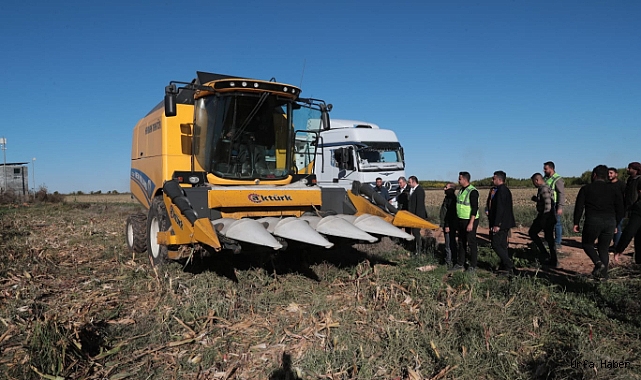ŞANLIURFA'DA EKİLEN MISIRLAR İÇİN HASAT ZAMANI BAŞLADI