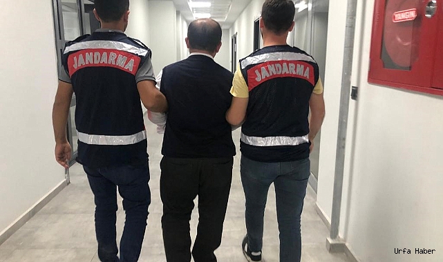 ŞANLIURFA’DA FETÖ OPERASYONU