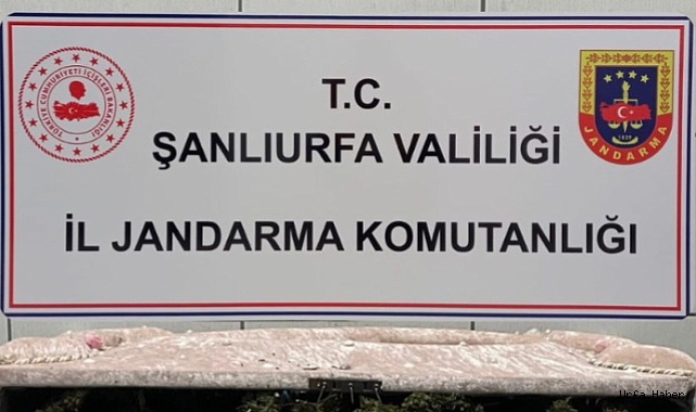 ŞANLIURFA'NIN İKİ İLÇESİNDE OPERASYON!