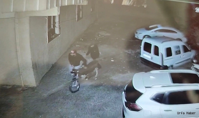 SİVEREK'TE MOTOSİKLET ÇALINDI