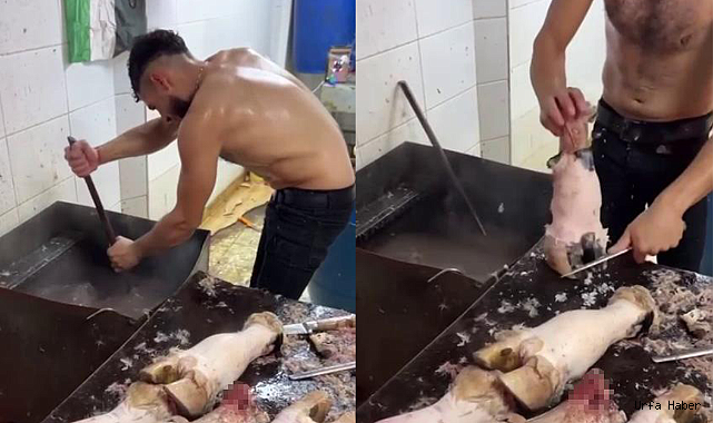 YARI ÇIPLAK DANA AYAĞI TEMİZLİĞİ PAHALIYA PATLADI