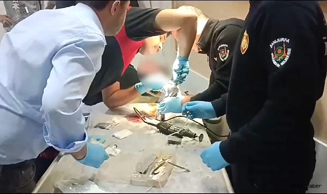 YEMEK YAPARKEN ELİNİ KARIŞTIRICIYA SIKIŞTIRDI