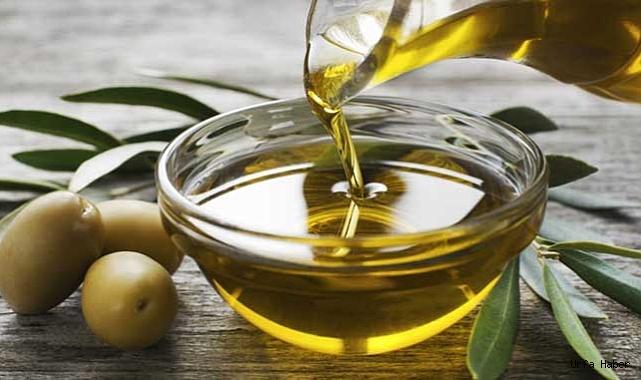 ZEYTİN VE YAĞI KALBİ KORUYOR, KALP KRİZİ RİSKİNİ AZALTIYOR