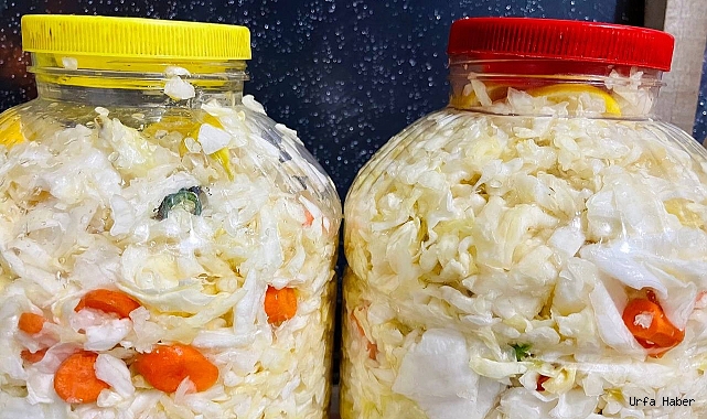 KIŞ AYLARININ DOĞAL ANTIBIYOTIĞI: BEYAZ LAHANA TURŞUSU