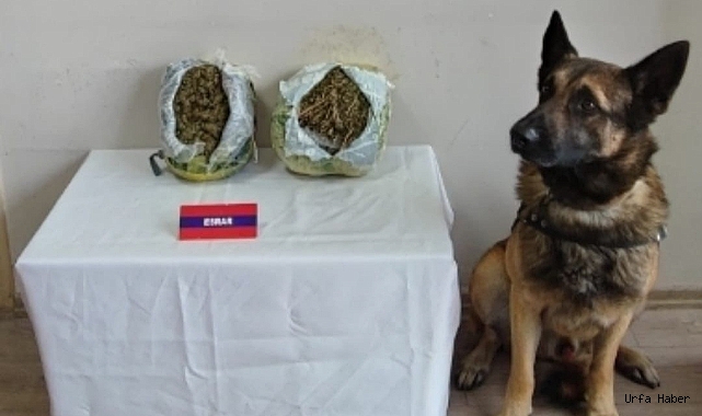 NAR KASALARINDAN 2 KILO UYUŞTURUCU ÇIKTI