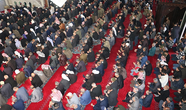 ŞANLIURFA'DA ŞEHİTLER İÇİN MEVLİT OKUTUKDU