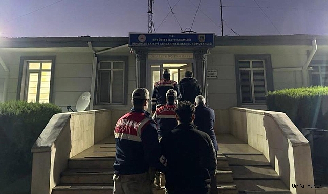 URFA'DA İNSAN KAÇAKÇILIĞI: 15 TUTUKLAMA