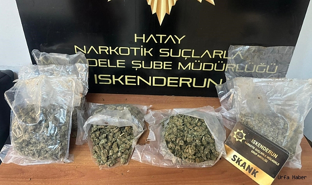 9 KİLO 300 GRAM SKANK ELE GEÇİRİLDİ
