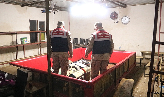 Horoz dövüşüne jandarma baskını
