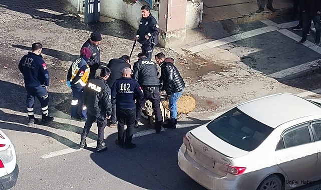 KOYUNLARI ÖLEN ADAM KENDİNİ YAKMAYA ÇALIŞTI
